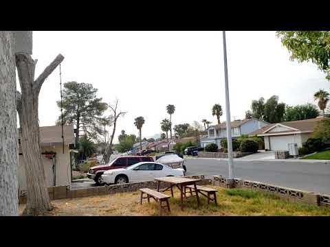 How to Remove a Subborn Tree - A Redneck DIY Guide