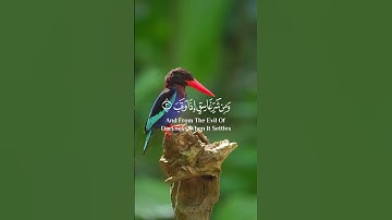 سورة الفلق بصوت خاشع وجميل | القارئ رعد الكردي 🎧
