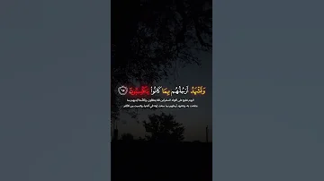 اليوم نختم علي افواههم وتكلمنا ايديهم المنشاوي 