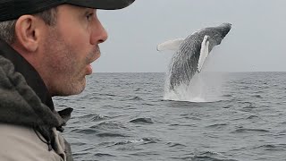 JE PÊCHE UN MASTODONTE DES MERS ! - Cyril Chauquet