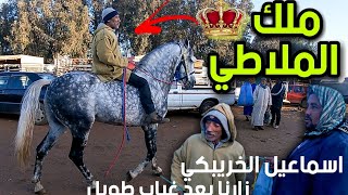 ملك الملاطي، خيول ممتازة بسوق الثلاثاء اليوم، ركبت اليوما على عود زرك و تعابرنا مع الشباب الجديد