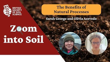 Zoom into Soil: The Benefits of Natural Processes