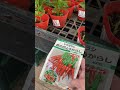 Buying vegetable plant for my garden and native items for my kitchen