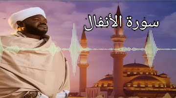 سورة الأنفال08|الشيخ نورين محمد صديق|surat Al-Anfal |noreen muhammad siddiq