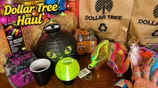 ASMR~Dollar Tree Haul! (Soft Spoken Version) Paper & Plastic Crinkles!
