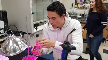 test for the oxygen produced by photosynthesis