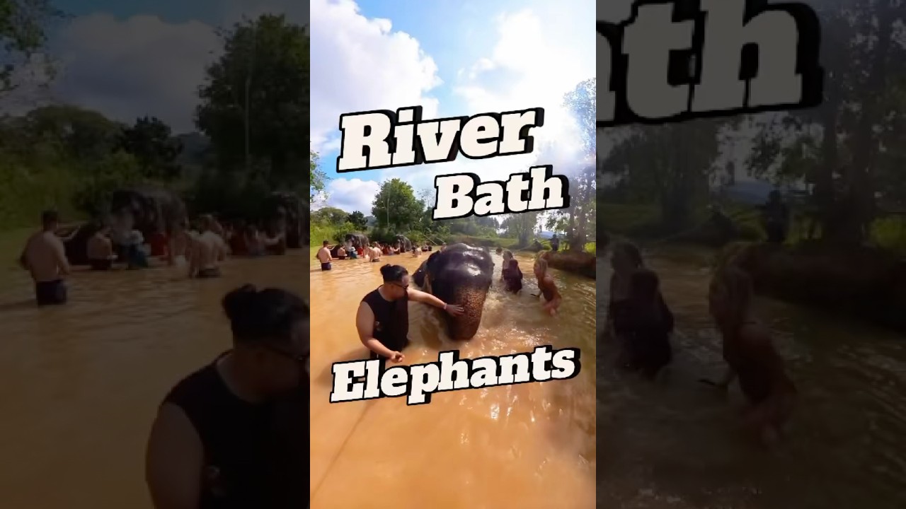 RIVER BATHS🐘🇹🇭 