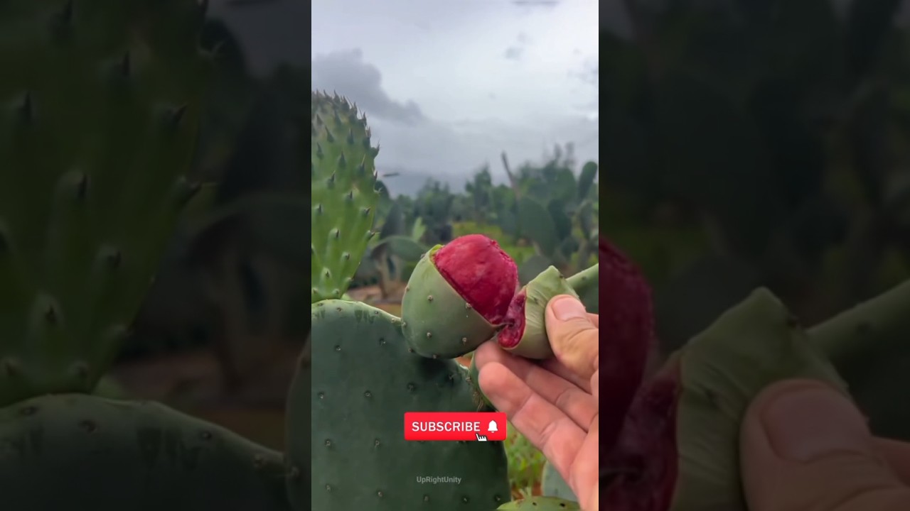 Life Lessons ✅💯🔥 