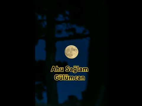 Ahu Sağlam Gülümcan 