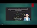 "Build Linear Regression from Scratch using NumPy | No Sklearn!"
