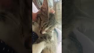 он улыбается(^^)