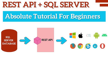 ASP NET Web API met SQL Server | Een API gebruiken | REST API