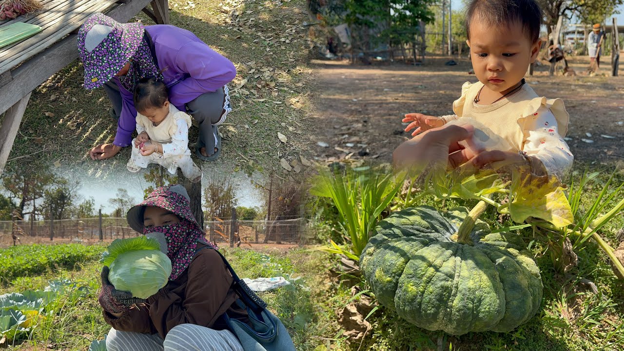 อยู่กับอลิสจอมป่วน วันนี้อากาศหนาวช่วงเช้า