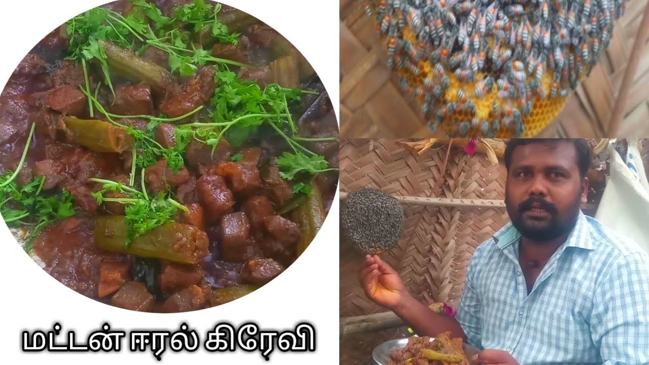 Aattu Eeral gravy Goat liver gravy in tamil Village Star Cooking