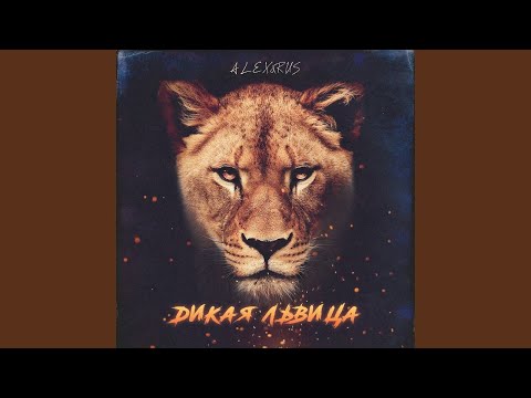 Дикая львица Side Or Slide Remix