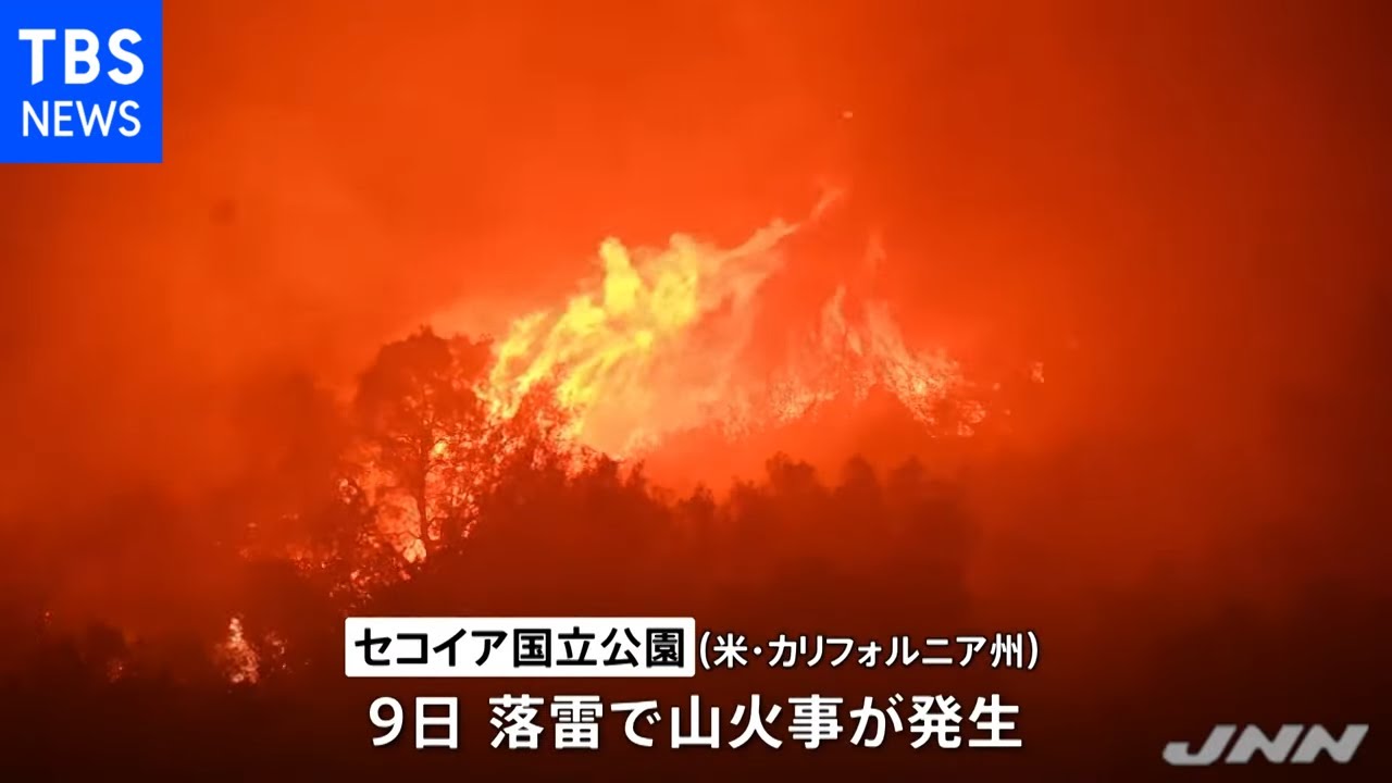 米の国立公園で山火事拡大 世界一の巨木 焼失危機に Youtube