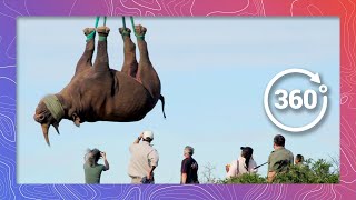 Saving Rhinos With Helicopters | Wildlife in 360 VR