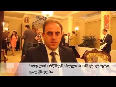 სოფლის რწმუნებულის ინსტიტუტი გაუქმდება