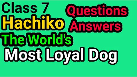 Class 7, Questions Answers, Hachiko - The World's Most Loyal Dog