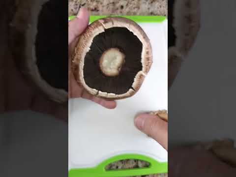 Portobello Mushroom Prep - First step - Removing the Stem