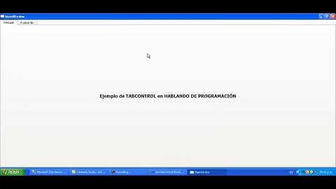 Tutorial 6  TabControl en WPF