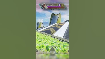 Shot At The Wrong Guy 😂