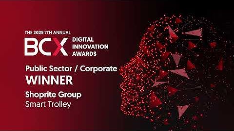 2025 Digital Innovation Awards - Compilation of all Winners in Corporate and Public Sector Category
