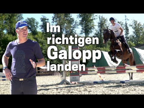 Richtig landen? Mit diesen Tipps landest du immer im richtigen Galopp! ?