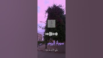 تلاوة سورة الروم (١٩) للقارئ عبد الرحمن مسعد
