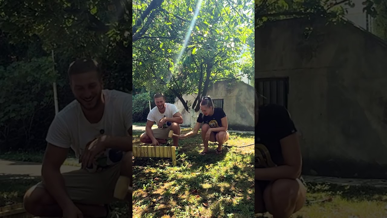 ALEKSANDRU JE UDARIO ČEKIĆ U GLAVU