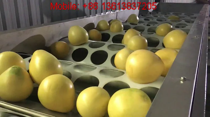 pomelo grading machine/grapefruit sorter/pomelo sorting machine