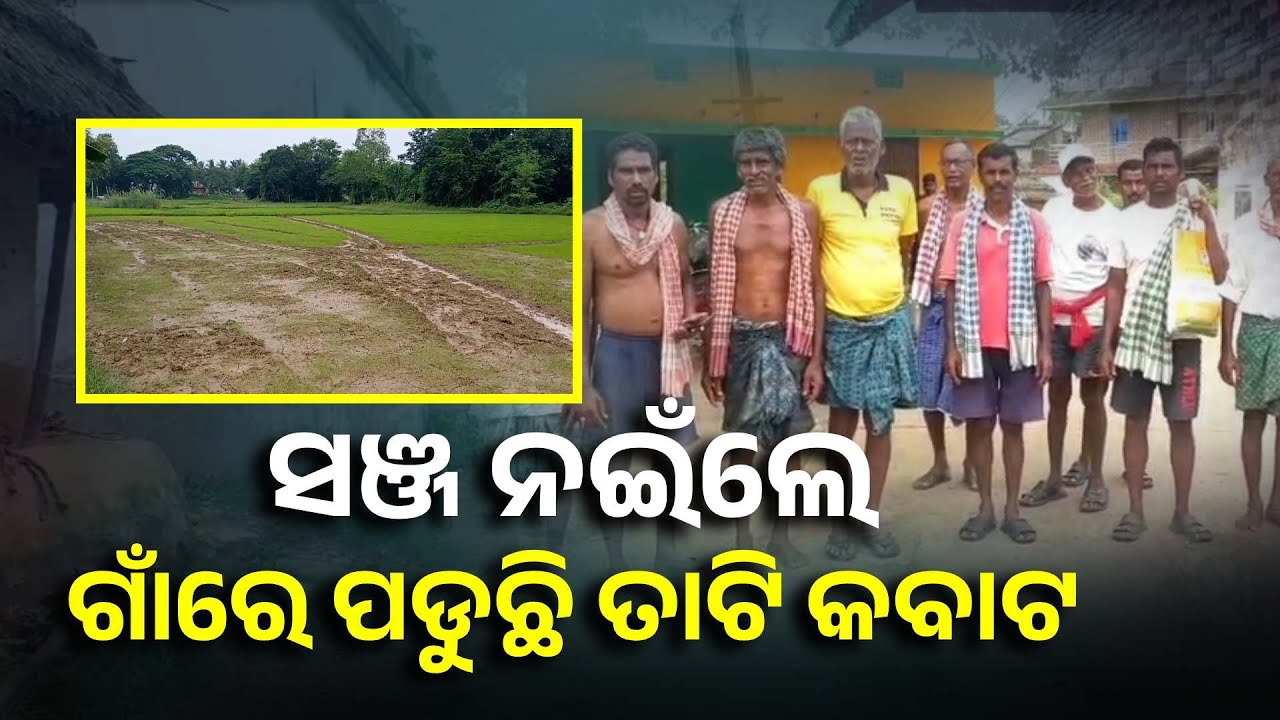 ସଞ୍ଜ ହେଲେ ସବୁ ଏକାଠି ରହୁଛନ୍ତି, ଜାଣନ୍ତୁ କ'ଣ ଏମିତି ଘଟୁଛି ଯେ ଥରହର ହେଉଛନ୍ତି ଗାଁ ଲୋକେ || Knews Odisha