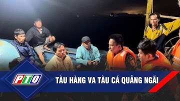 Tàu hàng va tàu cá Quảng Ngãi | PTQ