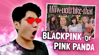 React JUJUR Di Mata Cowo Dance Cover PINK PANDA [How You Like That - BLACKPINK]