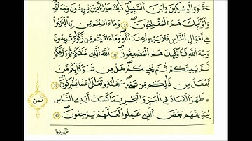 سورة الروم-الشيخ علي الحذيفي-رواية قالون