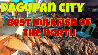 Biggest Seafood Market Of The North  Philippine Seafood Market  The Best Milkfish