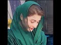 Maryam Nawaz Beautiful Pic