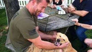 US Soldier Reunited With Dog From Afghanistan