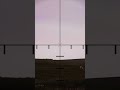 EPIC Legendary Boar Hunt - Hunting Simulator 2