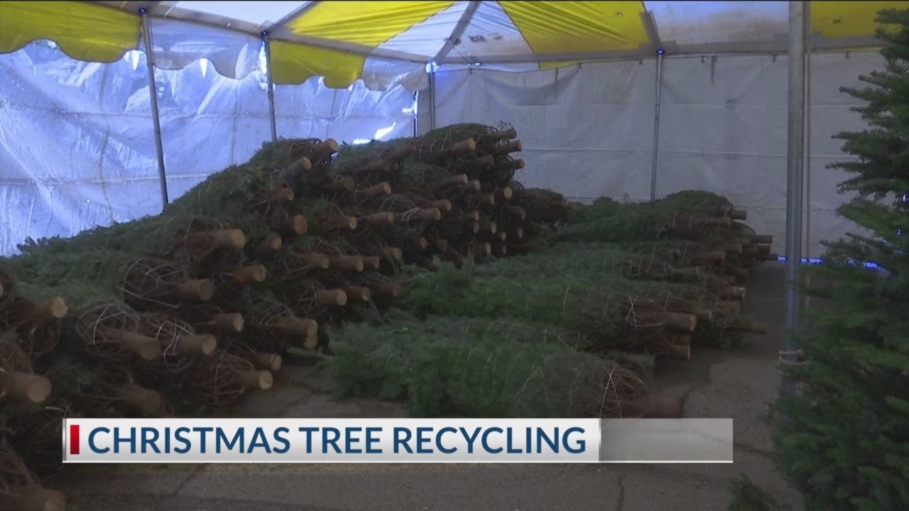 City offers free recycling of natural Christmas trees starting Dec. 27 ...