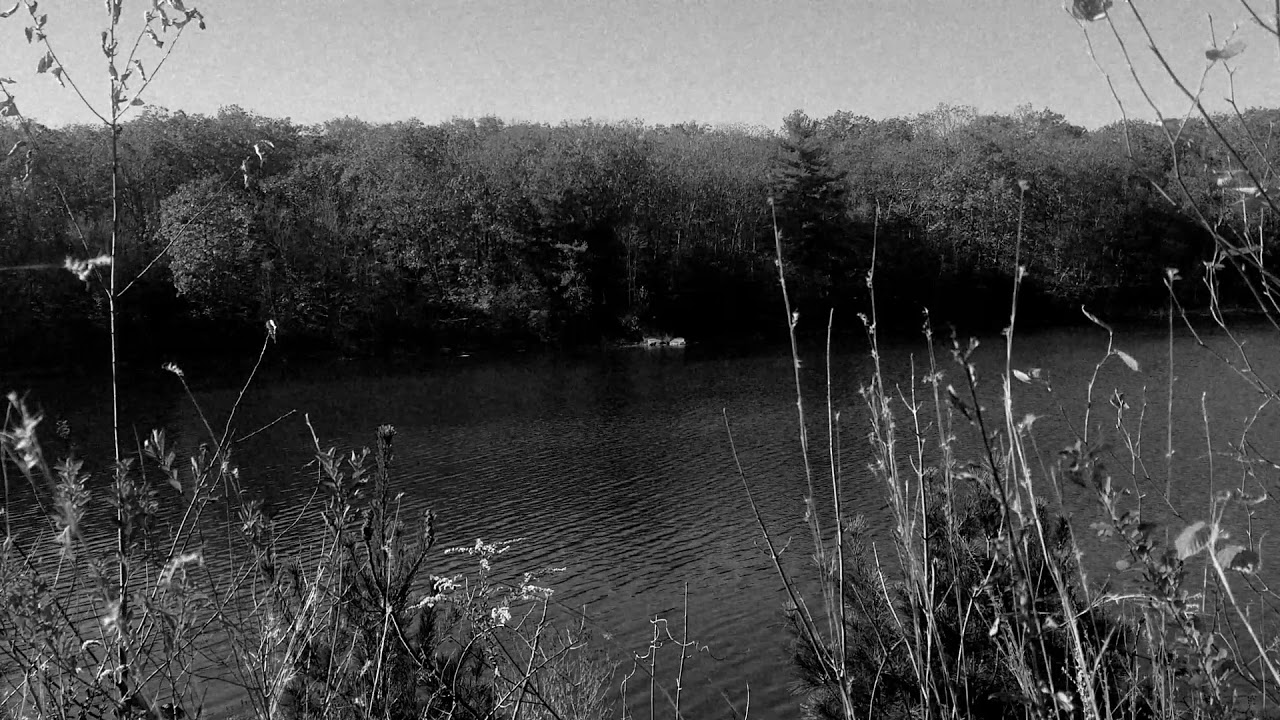 Welcome to Higher Self Aspiration