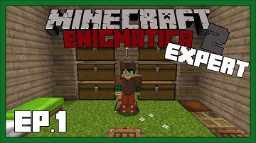 Enigmatica 2: Expert - EP1 - New Adventure Begins - Modded Minecraft 1.12.2