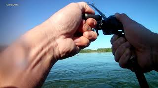 Gros silure en float tube ! screenshot 2