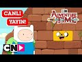  canli   adventure time   6 sezon  cartoon network trkiye