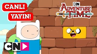  Canli Adventure Time 6 Sezon Cartoon Network Türkiye