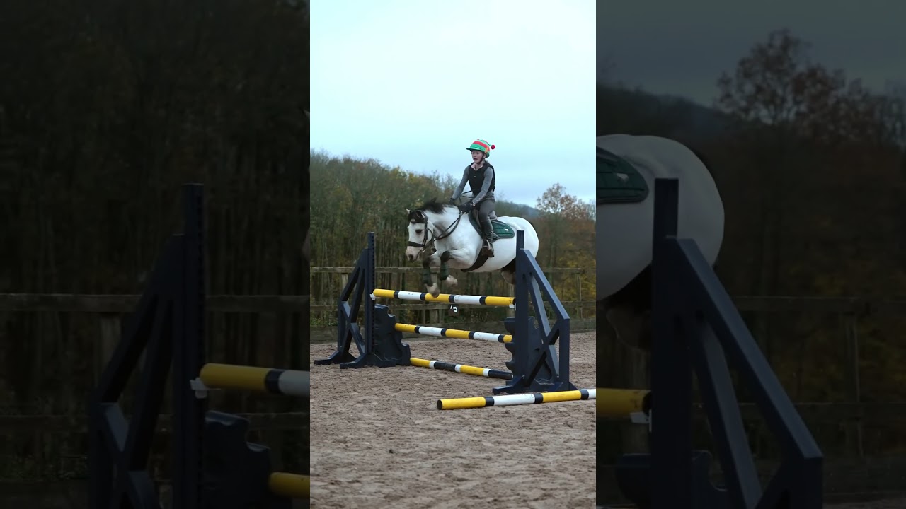 Harlow jumps Bear ✈️