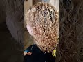 Биозавивка волос Mossa Мосса от 10 июля 2023 Киев