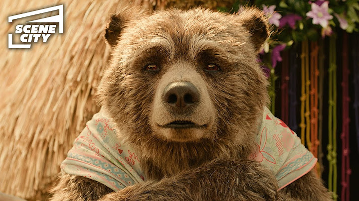 The Heartwarming Reunion in Peru | Paddington in Peru (Ben Whishaw, Olivia Colman)