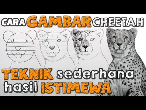Video: Cara Melukis Cheetah