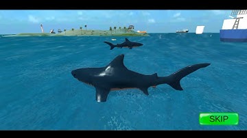 Whale Shark Attack FPS Sniper-Shark  Hunting Game